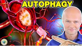 Autophagy Benefits